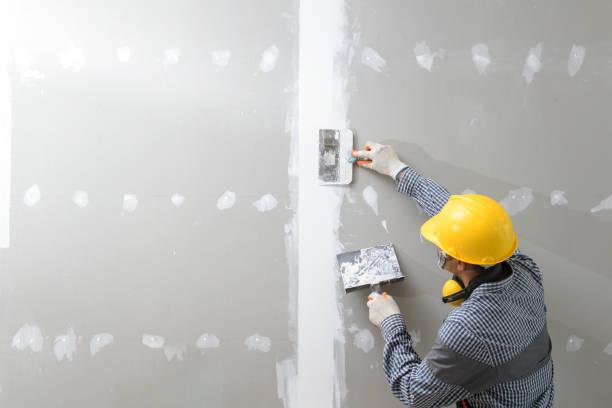 Reliable Portage, WI Mold Removal Solutions