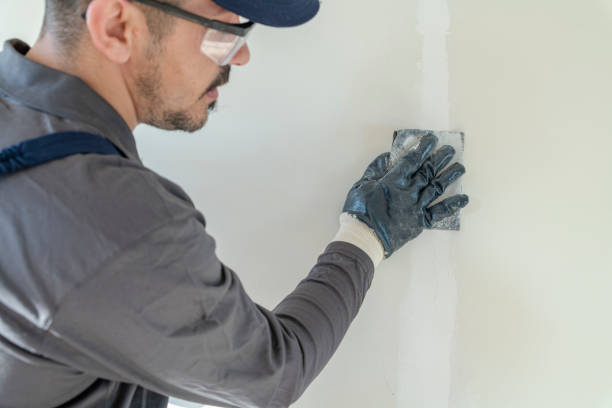 Best Mold Remediation for Healthcare Facilities  in Portage, WI