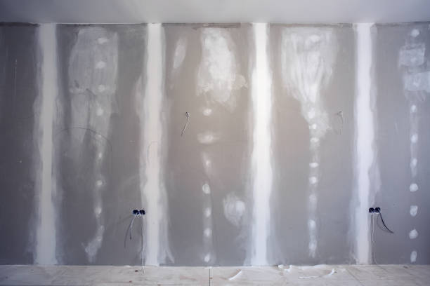 Best Asbestos and Lead Testing During Mold Inspection  in Portage, WI